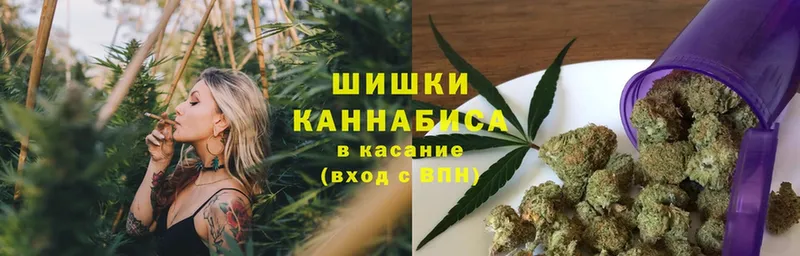 купить  сайты  Ветлуга  МЕГА как зайти  Бошки Шишки ГИДРОПОН 